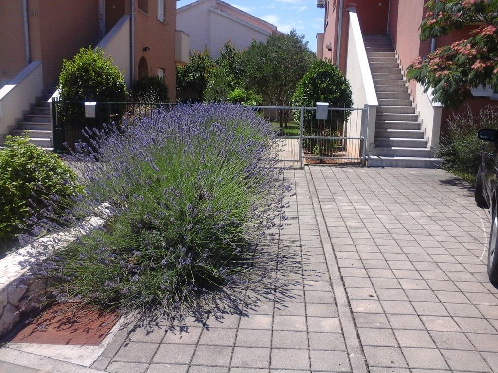 Apartments Danica Βόντιτσε Εξωτερικό φωτογραφία